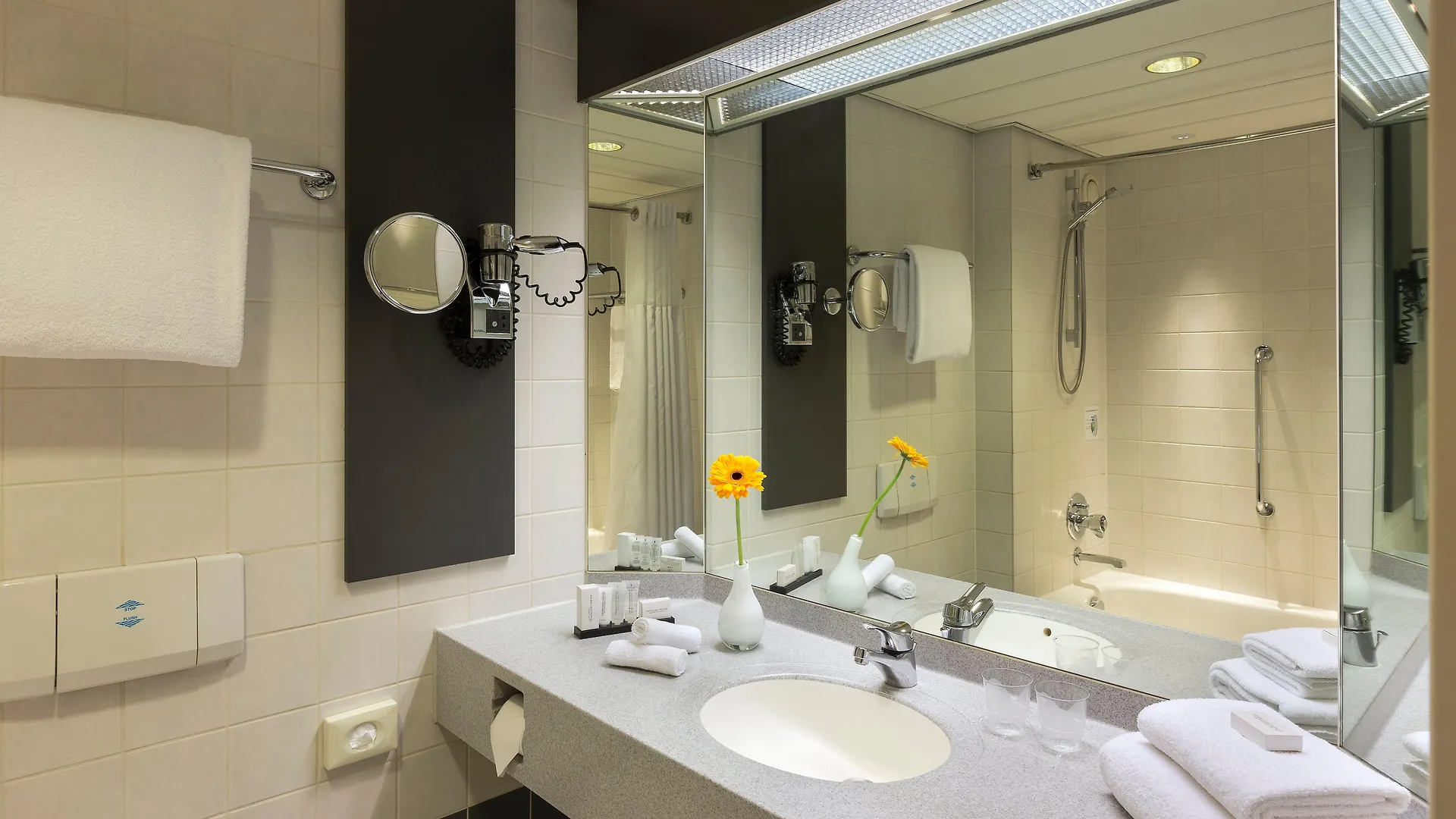 Crowne Plaza Amsterdam Airport Hotel Hoofddorp 4*,